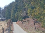 Land parcel, Ground area for sale in a resort district of Chakvi, Georgia. Photo 6