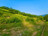 Land parcel, Ground area for sale in the suburbs of Batumi. Akhalsheni. Photo 11