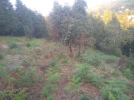 In the surroundings of Batumi, the land plot is sold Photo 8