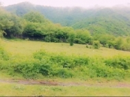 Продается земельный участок в живописном месте. Земельный участок в курортной зоне Боржоми, Грузия. Фото 3