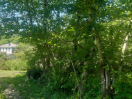 იყიდება მიწის ნაკვეთი ურეკში, საქართველო. ფოტო 4