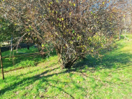 House for sale with a plot of land (Ground area) in Senaki, Georgia. Photo 5