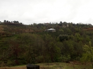 продается дом с большим участком земли в деревне Тхилнари, Аджария, Грузия. Фото 1