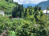 ვიყიდი კერძო სახლს საკურორტო რაიონში ქობულეთი, საქართველო. ფოტო 11