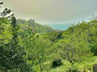 Land parcel, Ground area for sale at the seaside of Tsikhisdziri, Georgia. Sea view. Photo 2