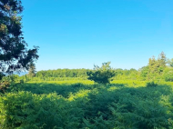 Купить дом с земельным участком в пригороде Озургети, Грузия. Фото 10
