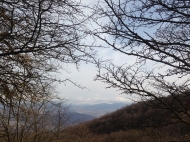 House for sale in Misaktsieli, Kochoba Photo 5