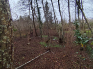 Продается частный дом с земельным участком в Шрома, Грузия. Фото 28