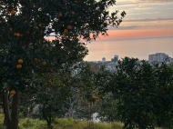 Private house for sale with land plot in Gonio, Georgia. Profitably for business. Photo 5