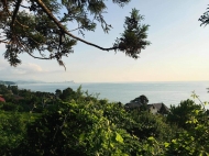 Land parcel, Ground area for sale at the seaside of Chakvi, Georgia. Land with sea view. Tangerine garden, Walnut garden. Photo 2