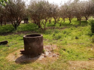 House for sale with a plot of land in the suburbs of Darcheli, Georgia. Photo 3