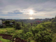 Ground area for sale at the seaside of Buknari, Georgia. Land with sea view. Photo 3