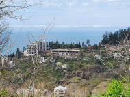Участок с видом на море у Ботанического сада на Зеленом мысе в Батуми, Грузия. Фото 2