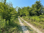 Ферма с земельным участком и фруктовым садом в Самтредиа, Грузия. Фото 7