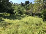 Продажа земельного участка в селе Урехи, Батуми, Аджария, Грузия. Фото 3