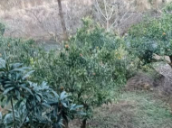 Продается дом с земельным участком в красивом месте. Купить частный дом в курортном районе Бобоквати, Грузия. У реки. Фото 4