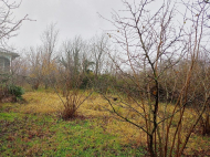 Wooden cottage for sale. House for sale with a plot of land in the suburbs of Samtredia, Georgia. Photo 2