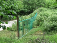 Not far from Batumi, a plot of land with a walnut garden is for sale. Photo 11