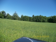 Sold a ready farm with a plot of 15 hectares Photo 7