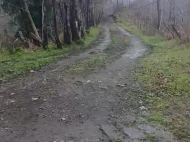 House for sale in a resort district of Chakvi, Georgia. Tangerine garden. Sea view. Photo 11