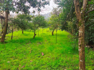 იყიდება მიწის ნაკვეთი. მახინჯაური, აჭარა, საქართველო.  ფოტო 6