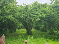 Land plot for sale in the suburbs of Zugdidi, Georgia. Photo 4