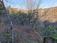 House for sale with a mandarin orchard in Kvirike. Purchase a house with a mandarin and fruit orchard in the vicinity of Kobuleti, Georgia. Photo 3