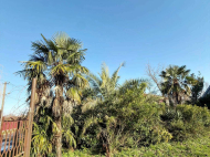 Продается частный дом с земельным участком в Супса, Грузия. Фото 4