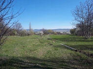 Land parcel, Ground for sale in the suburbs of Tbilisi, Mukhrani. Photo 2