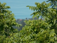 в окрестности Батуми в тихом районе сдаётся двухэтажный частный дом с красивым видом на Батуми Фото 10