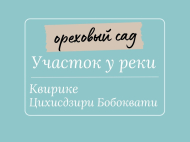 მიწის ნაკვეთი გასაყიდი კვირიკე, საქართველო. თხილის ბაღი. მდინარესთან. ფოტო 1