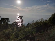 Продается земельный участок у моря в Квариати, Грузия. Вид на море. Фото 6