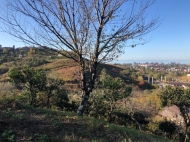 Land parcel, Ground area for sale in the suburbs of Batumi, Georgia. Favorable for investment projects. Photo 5