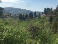 House for sale with a plot of land in the suburbs of Batumi, Georgia. Tangerine garden, Orchard. Walnut garden. Vineyard. Near the river. Photo 3