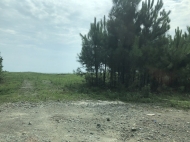 Продается земельный участок на берегу Черного моря в Шекветили, Грузия. Фото 2