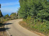 Land parcel, Ground area for sale at the seaside of Tsikhisdziri, Georgia. Sea view. Photo 3