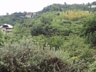 Купить частный дом с земельным участком в пригороде Батуми, Грузия. Вид на море и горы. Фото 37