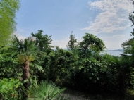 Продается земельный участок у моря. Зеленый мыс, Грузия. Участок с видом на море. Фото 5