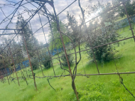 იყიდება კერძო სახლიმიწის ნაკვეთით შრომა, საქართველო. ფოტო 19