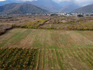 An existing agricultural complex for sale. Lagodekhi, Georgia. Photo 18