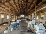 Ферма с земельным участком и фруктовым садом в Самтредиа, Грузия. Фото 2