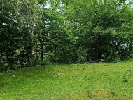 House for sale with a plot of land in Bobokvati, Georgia. Natural spring. Near the river. Sea view. Photo 6
