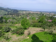 Купить земельный участок в Сахалвашо, Грузия. Фото 3