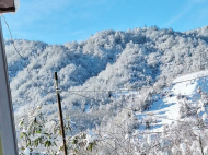 Купить частный дом с земельным участком в пригороде Озургети, Грузия. У реки. Фото 3