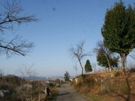 Land parcel, Ground area for sale in Tsihisdziri, Georgia. Land with sea and mountains view. Photo 3