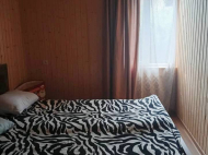 Купить частный дом с земельным участком в пригороде Озургети, Грузия. Природный родник. У реки. Фото 4