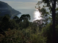 Продается земельный участок у моря в Квариати, Грузия. Вид на море. Фото 7