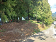 იყიდება მიწის ნაკვეთი სახალვაშო, საქართველო. ფოტო 8