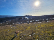 Land parcel, Ground area for sale in a resort area of Racha-Lechum, Georgia. Land parcel, Ground area for sale in a picturesque place.  Photo 8