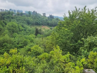 House for sale with a plot of land in the suburbs of Batumi, Georgia. Photo 2